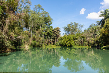 Lago com floresta tropical refletida