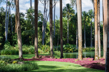 Vista de parque com árvores e flores vermelhas destacadas