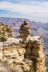 Fototapeta na wymiar Duck On the Rock at the South Rim of the Grand Canyon Arizona
