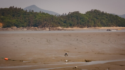 clams work on the mud