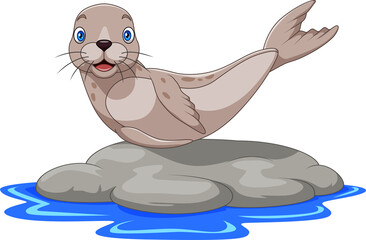 Cartoon sea lion on the rock