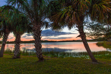 Obraz premium Colorful Sunset over Lake Zobel, George LeStrange Preserve, Fort Pierce, Florida