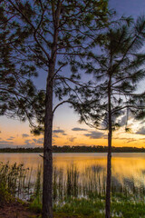 Fototapeta na wymiar Colorful Sunset over Lake Zobel, George LeStrange Preserve, Fort Pierce, Florida