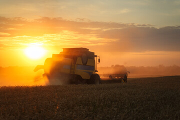 Combine harvester harvests ripe wheat. Ripe ears of gold field on the sunset cloudy orange sky background. . Concept of a rich harvest. Agriculture image