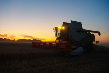 Combine harvester harvests ripe wheat. Ripe ears of gold field on the sunset cloudy orange sky background. . Concept of a rich harvest. Agriculture image