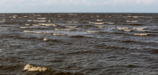 Beach with brown water