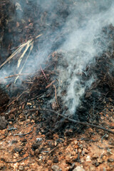 Wildfires often occur in the dry season. The community together with the army fought to extinguish the fire. Pontianak, Indonesia.