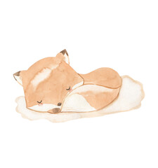 Watercolor sleeping fox. Animal illustration for kids