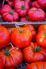 Crate of colorful organic heirloom tomatoes at the farmers market