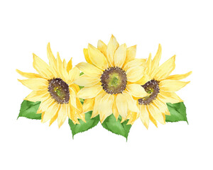 ヒマワリの水彩画