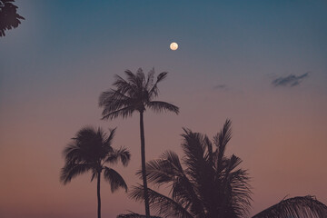 Full moon rising in the sunset sky over palm trees and rocks