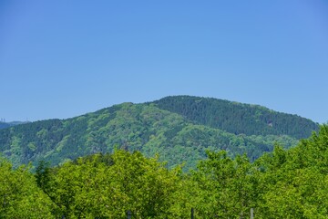 Fototapeta na wymiar 萌黄色の新緑の山の情景＠滋賀