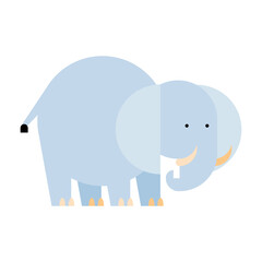 elephant basic forms