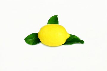 fresh yellow lemon lime citrus fruit with leaves in white background