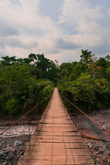 Bridge To Rainforest Paradise
