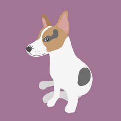 Jack Russell Terrier dog portrait cartoon vector illustration
- 506324371
