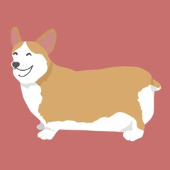 Corgi dog portrait cartoon vector illustration	