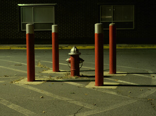 fire hydrant with barrier posts