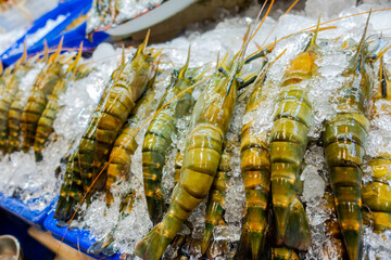 Fresh king prawn chilled with ice for preservation on sell in an open air gourmet high end exotic fresh food market in Bangkok, Thailand