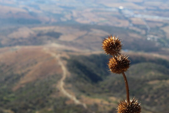 Paisaje del cerro del cubilete