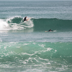 surfing the wave