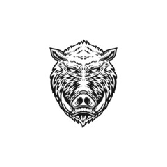 wild boar hand drawn illustration