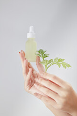 Top view  of hand holding cosmetic jar with mugwort in white background 