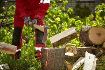 Logger. Chop wood. Chop wood on a sunny summer day. Logger.