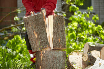 Logger. Chop wood. Chop wood on a sunny summer day. Logger.