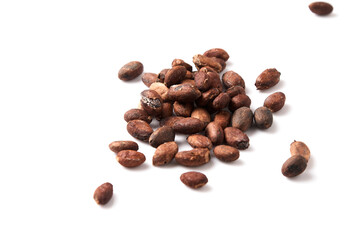 cocoa beans on a white background