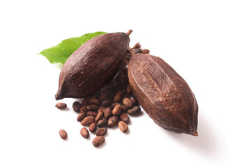 Cocoa pods with Cocoa leave and seeds