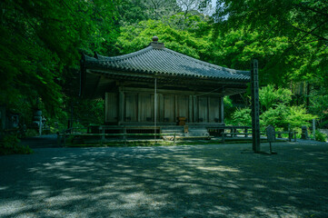 富貴寺　阿弥陀堂の春