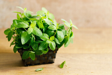 Fresh mint on wooden table.