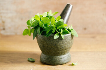 Fresh mint on wooden table.