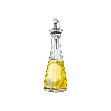Bottle of oil for serving with nozzle, hand drawn vector illustration isolated.