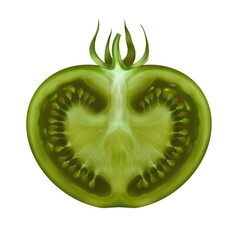 A green tomato is round and cut with a peduncle and leaves on a white background, a realistic hand-drawn illustration, a vegetarian vegetable. For printing and packaging design.