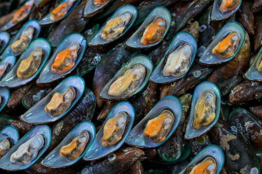 Asian green mussel (Perna viridis) in Thailand street market.