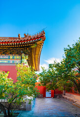 The Forbidden City in Autumn