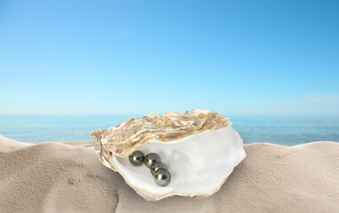 Fototapeta na wymiar Open oyster shell with black pearls on sandy beach near sea