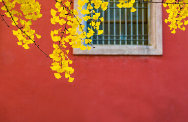 The Forbidden City in Autumn