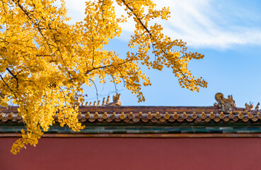 The Forbidden City in Autumn