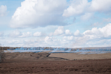 Fields are burning. Wildfire on wheat field stubble after harvesting