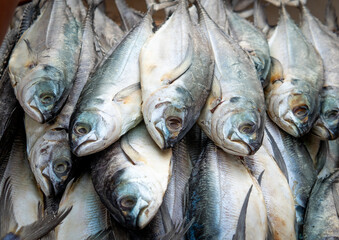 Obraz premium Fresh Thai tuna sold in the seafood market. Selective focus.