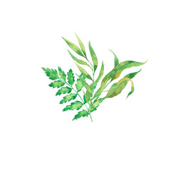 Green leaves bouquet with palm leaves and fern. Hand drawn watercolor illustration. - 506345779