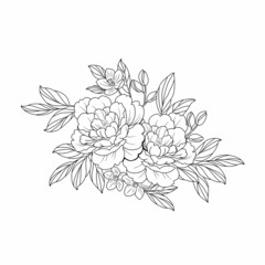 flowers drawing with lineart on white backgrounds.