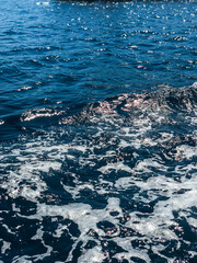 Naklejka premium Background shot of aqua sea water surface