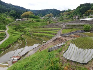 棚田百選に広島県で唯一選ばれた「井仁の棚田」
