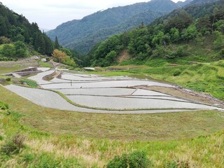 棚田百選に広島県で唯一選ばれた「井仁の棚田」