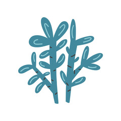 Blue succulent plant. Doodle hand drawn western plant element naive vector art on white isolated background