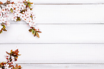 Sakura background flower blossom and April floral nature on wooden. Blooming tree. Easter Sunny day. Orchard abstract springtime background.